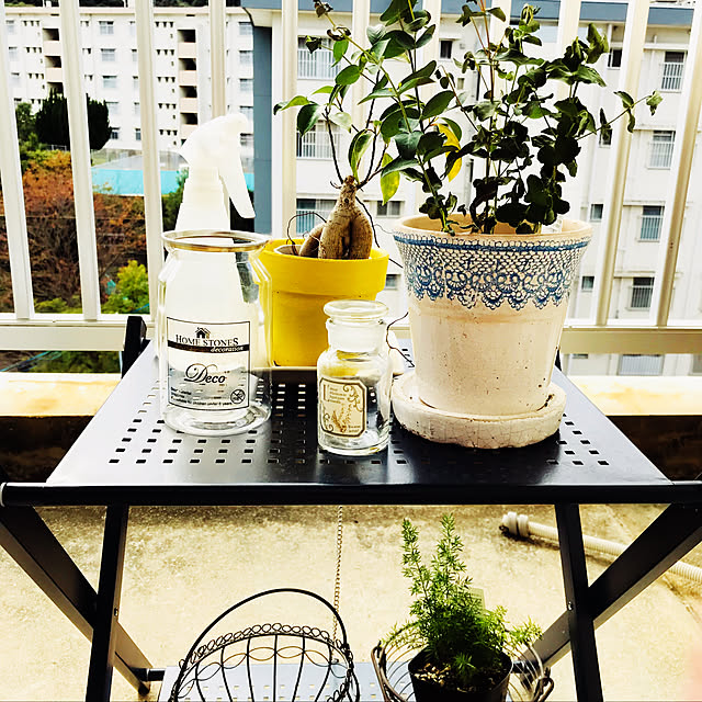 観葉植物/部屋全体のインテリア実例 - 2018-11-01 09:59:47