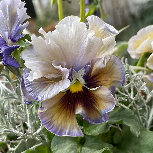 shiropenguinさんの部屋