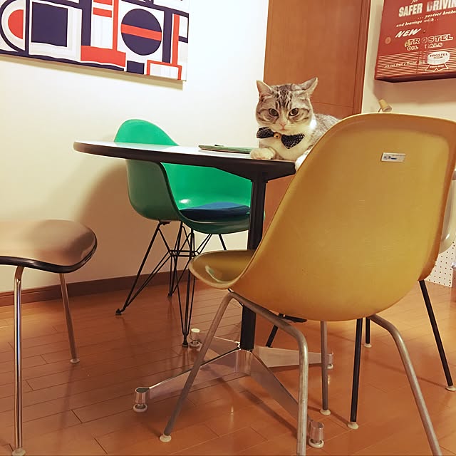 Shojiさんの実例写真