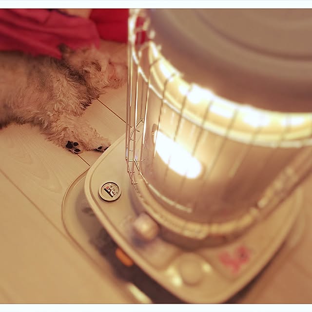 suzyさんの実例写真