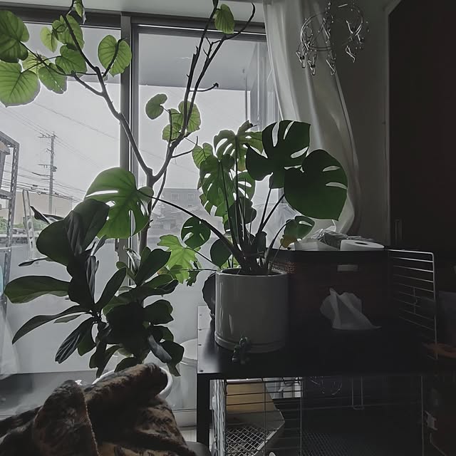coco.Apartmanさんの実例写真