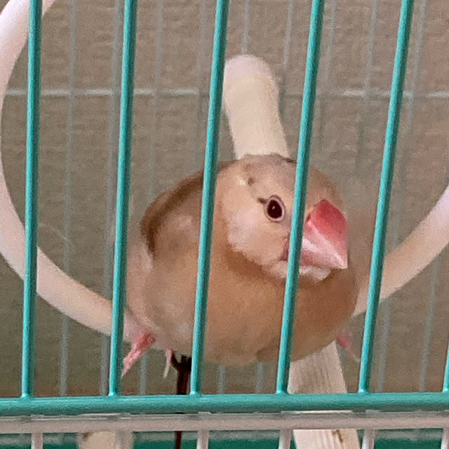 u-さんの実例写真