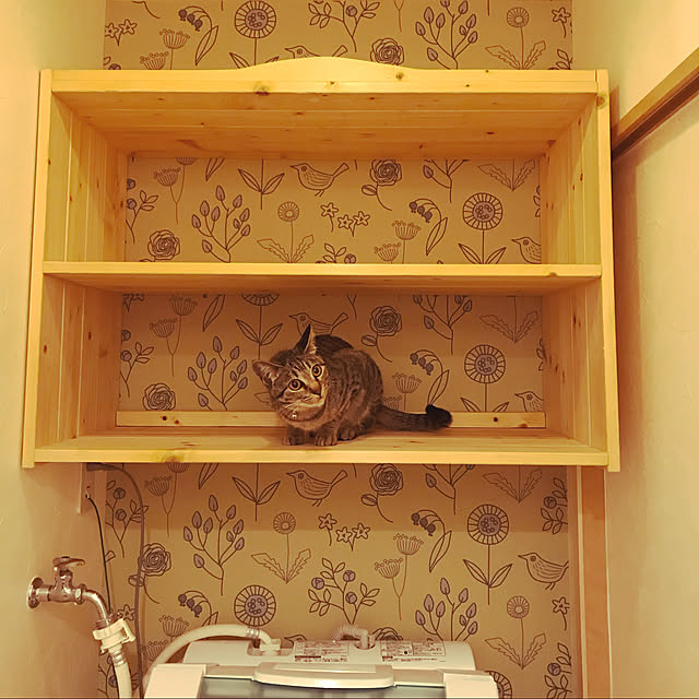 rasさんの実例写真