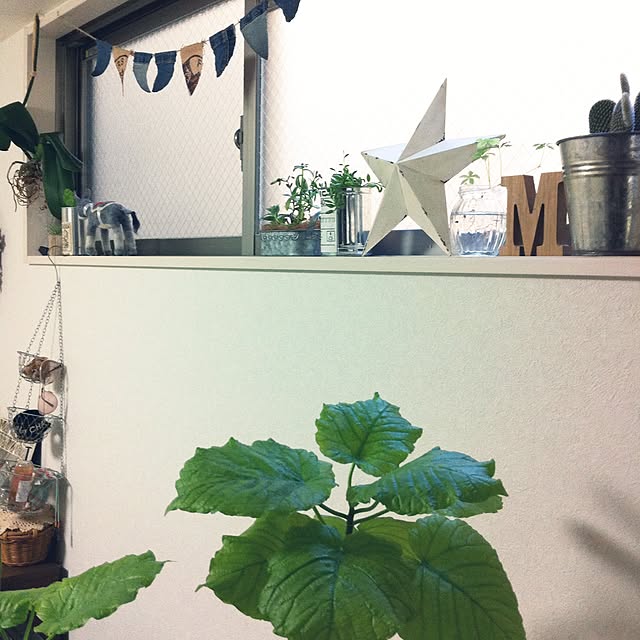 pさんの実例写真