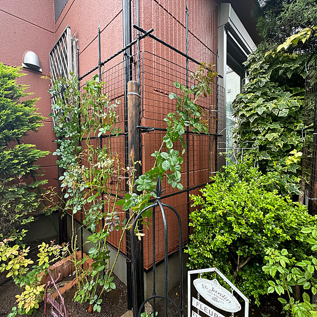 RoseLife5818さんの部屋