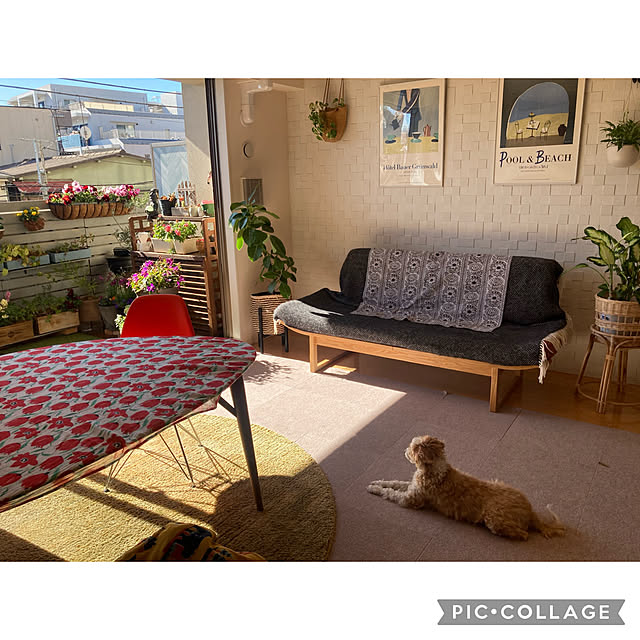 marukoさんの部屋