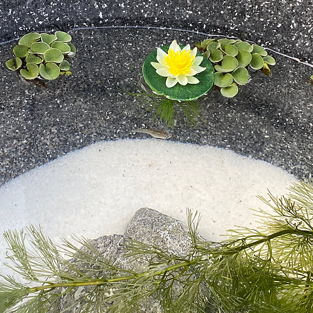 masato.mikiさんの部屋