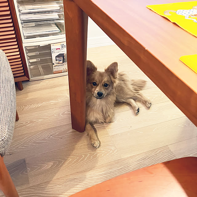 nbby16さんの部屋