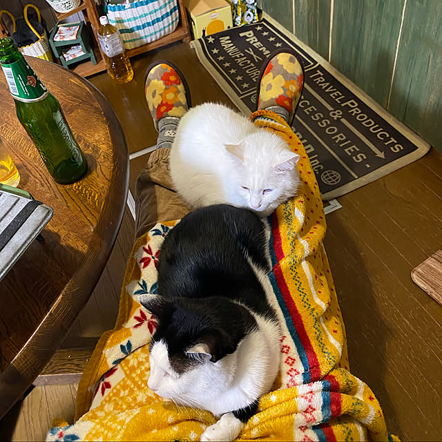 SHIHOさんの実例写真
