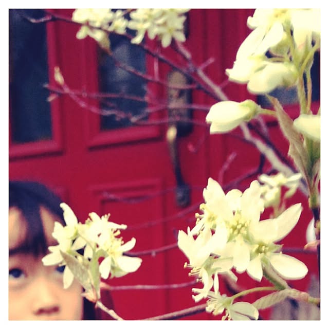 ayaco_cucirinaさんの実例写真