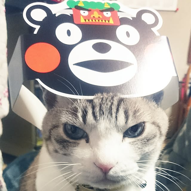 blueさんの実例写真