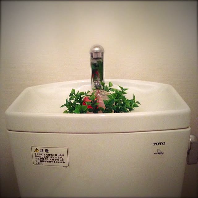 nabiさんの実例写真