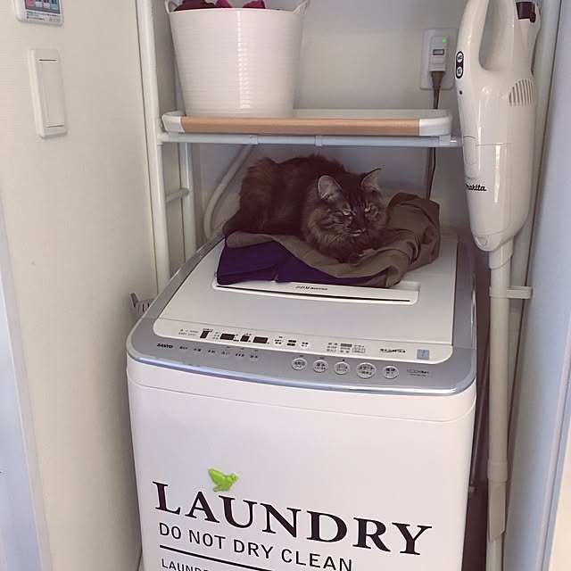 mikomaruさんの実例写真