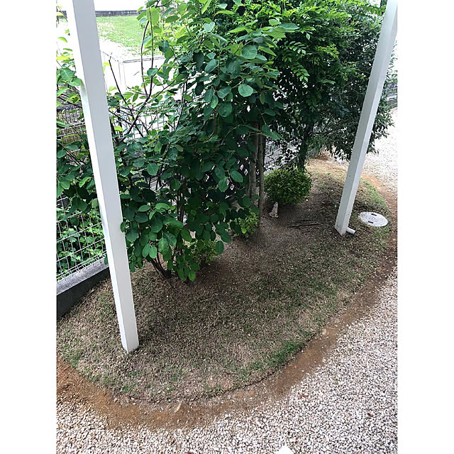 nono.0129さんの実例写真
