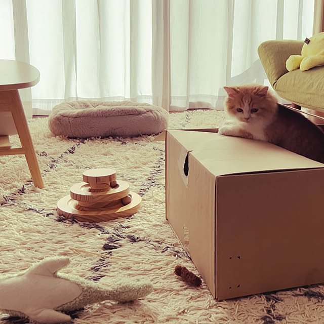 junさんの部屋