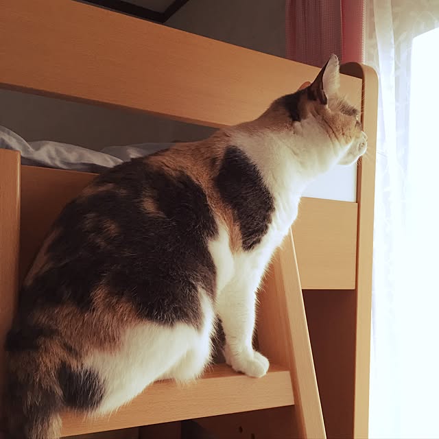 yumasukeさんの実例写真