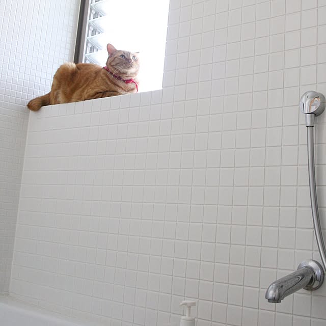 gguuiiさんの実例写真