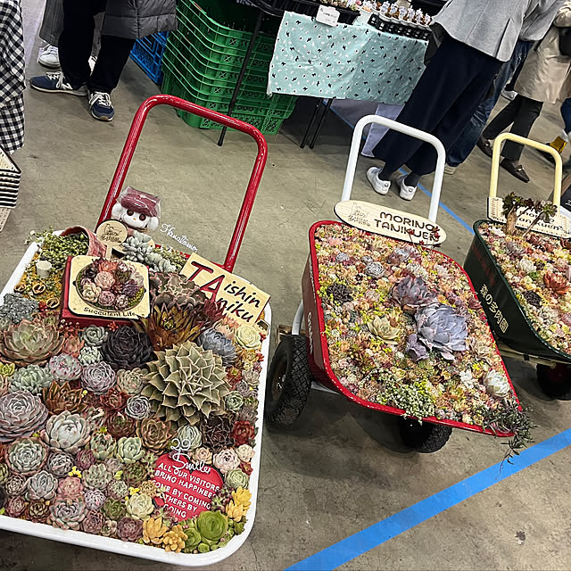 yoshibuさんの部屋