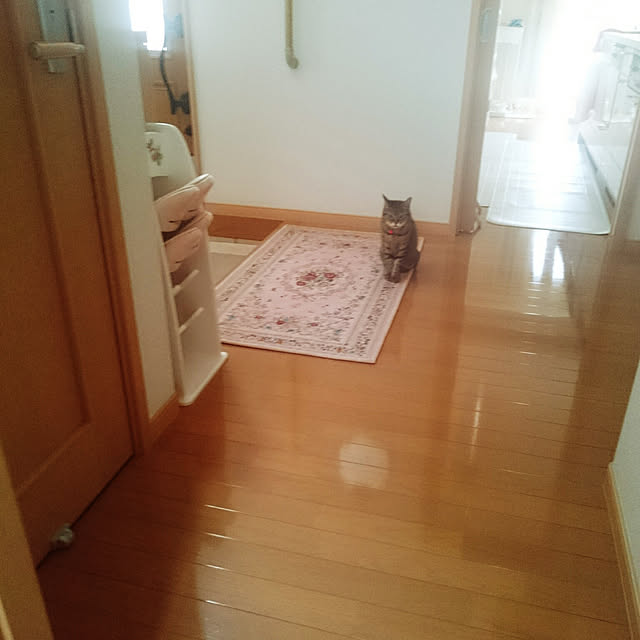 lilyさんの実例写真