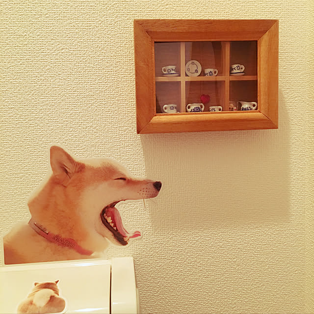 mikamiさんの実例写真