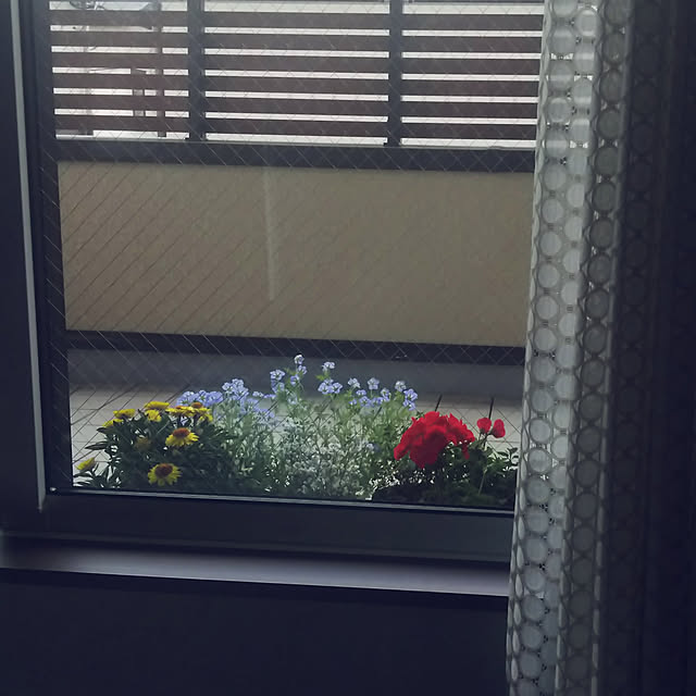 reeさんの実例写真