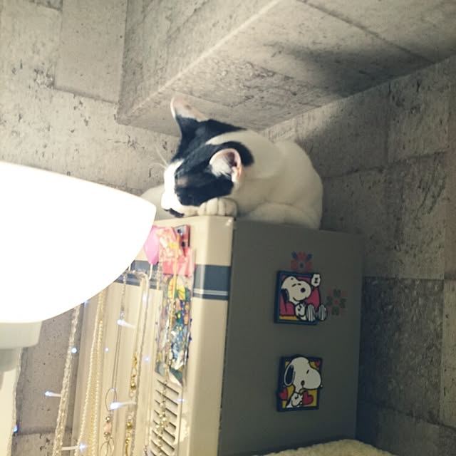 fu-ka24さんの実例写真