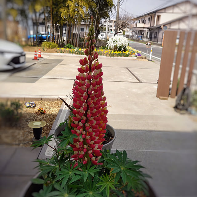 houenさんの実例写真