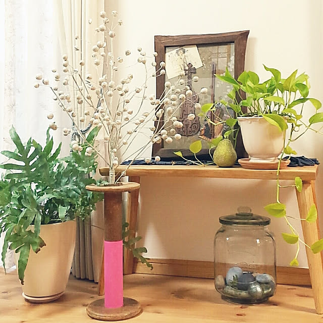 naive.coccoさんの実例写真