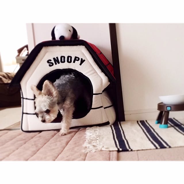 seicoさんの実例写真