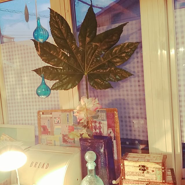 ninaさんの実例写真