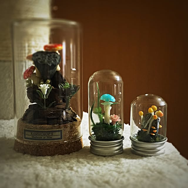 ramuchop3000さんの実例写真