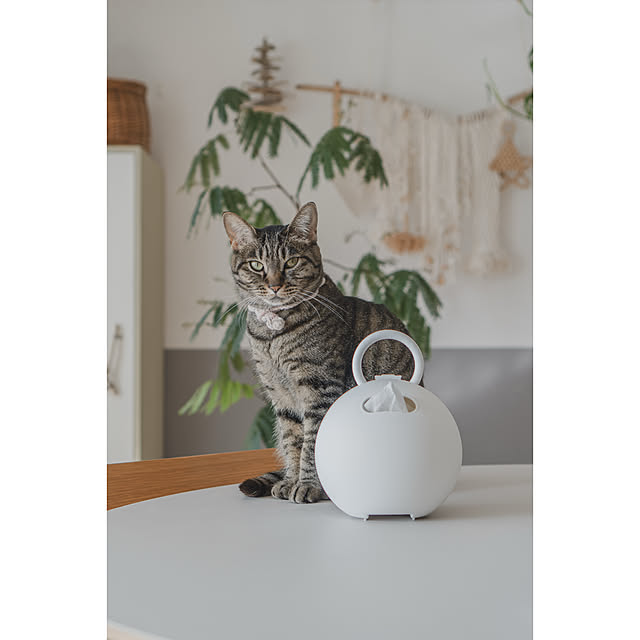 oliveさんの部屋