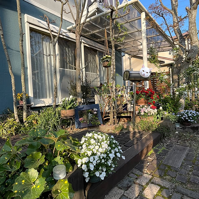 nobikoさんの部屋