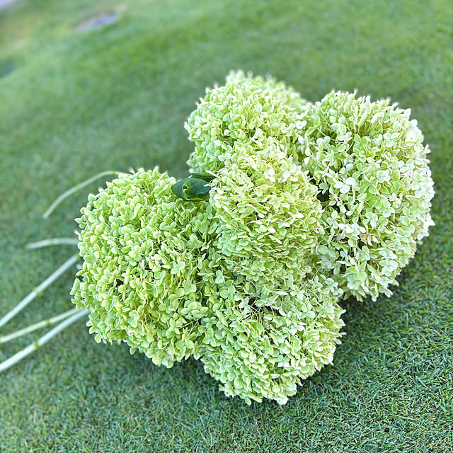 kurinokiさんの部屋