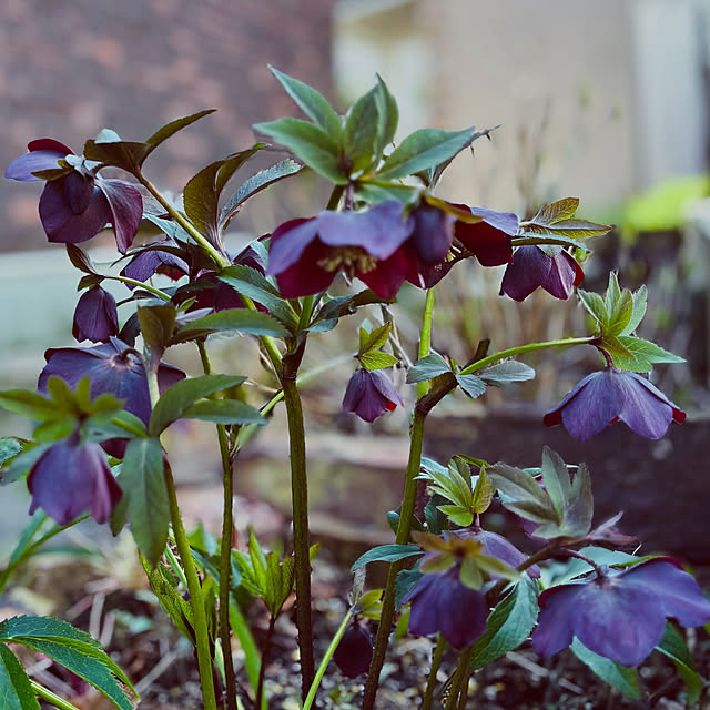 usagiさんの部屋