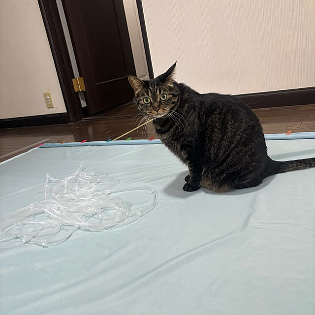 momocchiさんの部屋