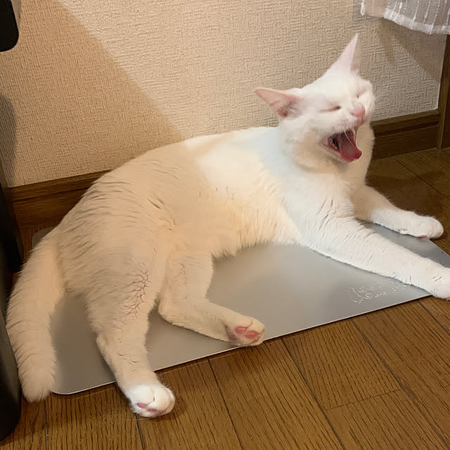 keiさんの実例写真