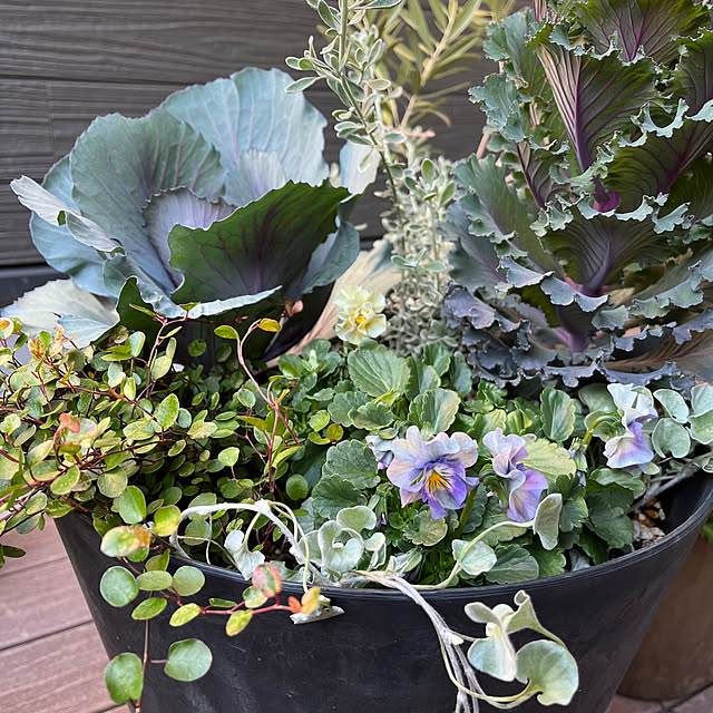 monchanさんの実例写真