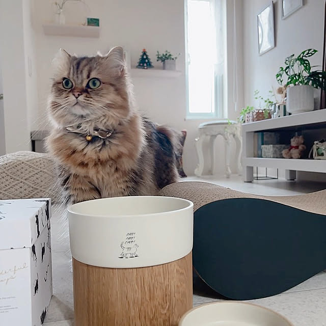 miyu39さんの実例写真