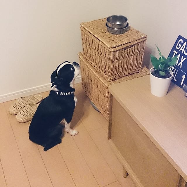 maekoさんの実例写真
