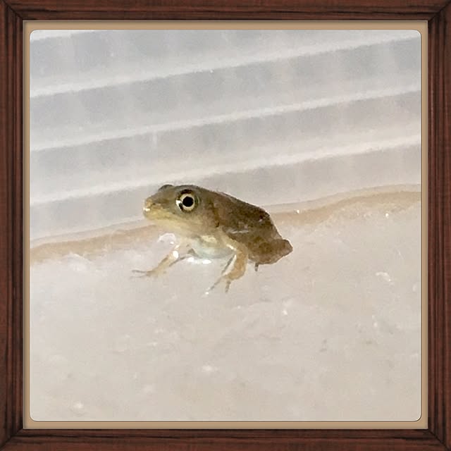 ainatsuさんの実例写真