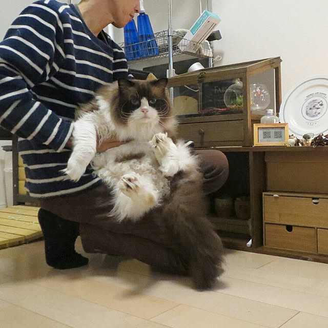 hiroshiさんの実例写真