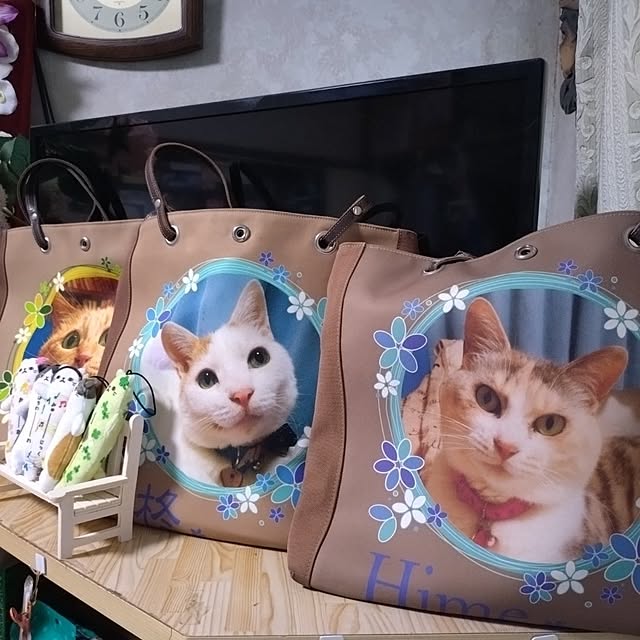 NOAHさんの部屋