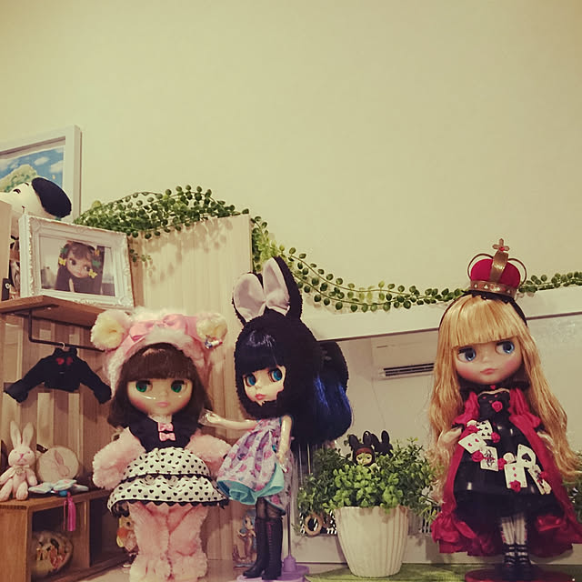 rinmarorinさんの実例写真