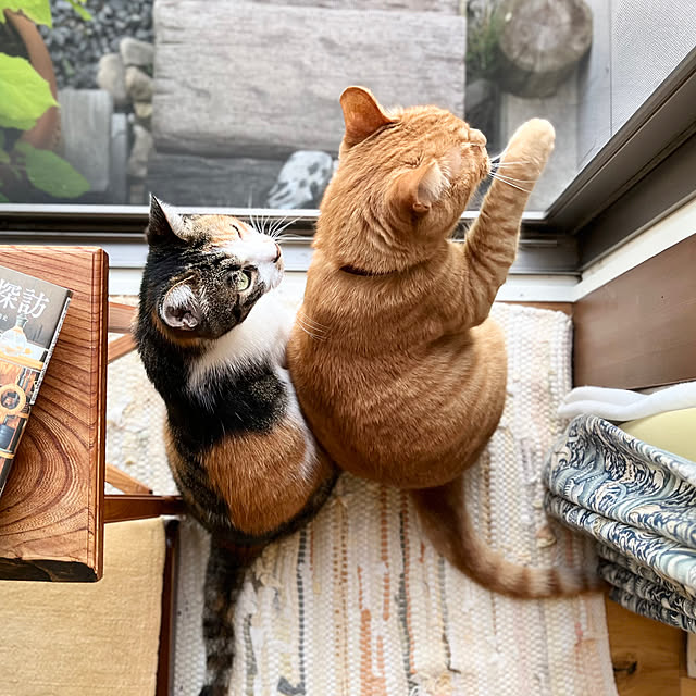 Maruさんの部屋