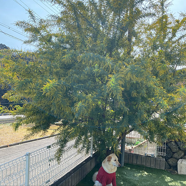 mtkさんの実例写真