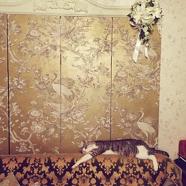 emmyyさんの実例写真