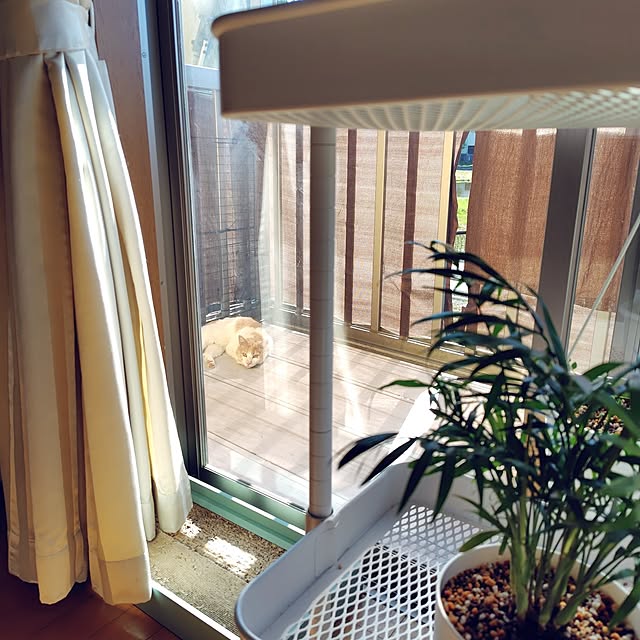 nachiさんの部屋