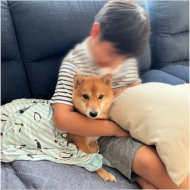 sasasanosasukekunさんの実例写真