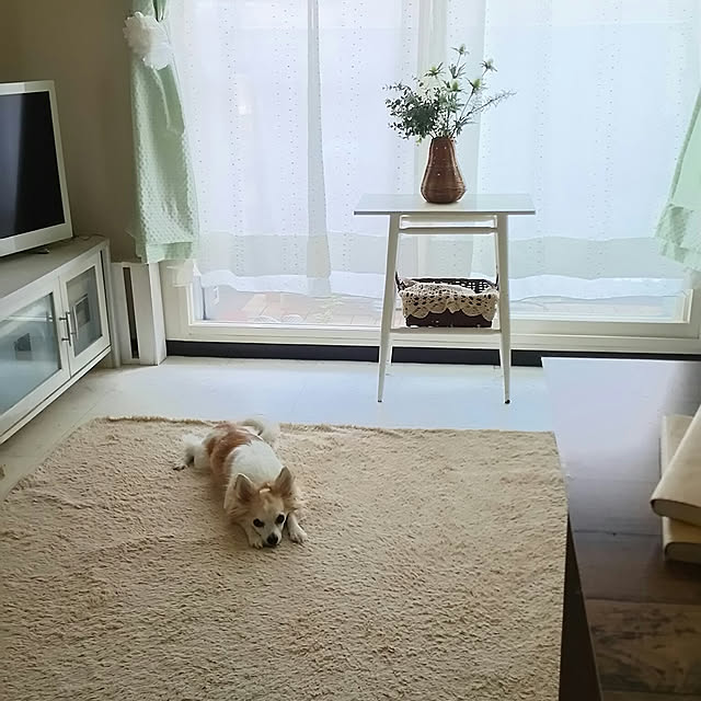 nonさんの実例写真